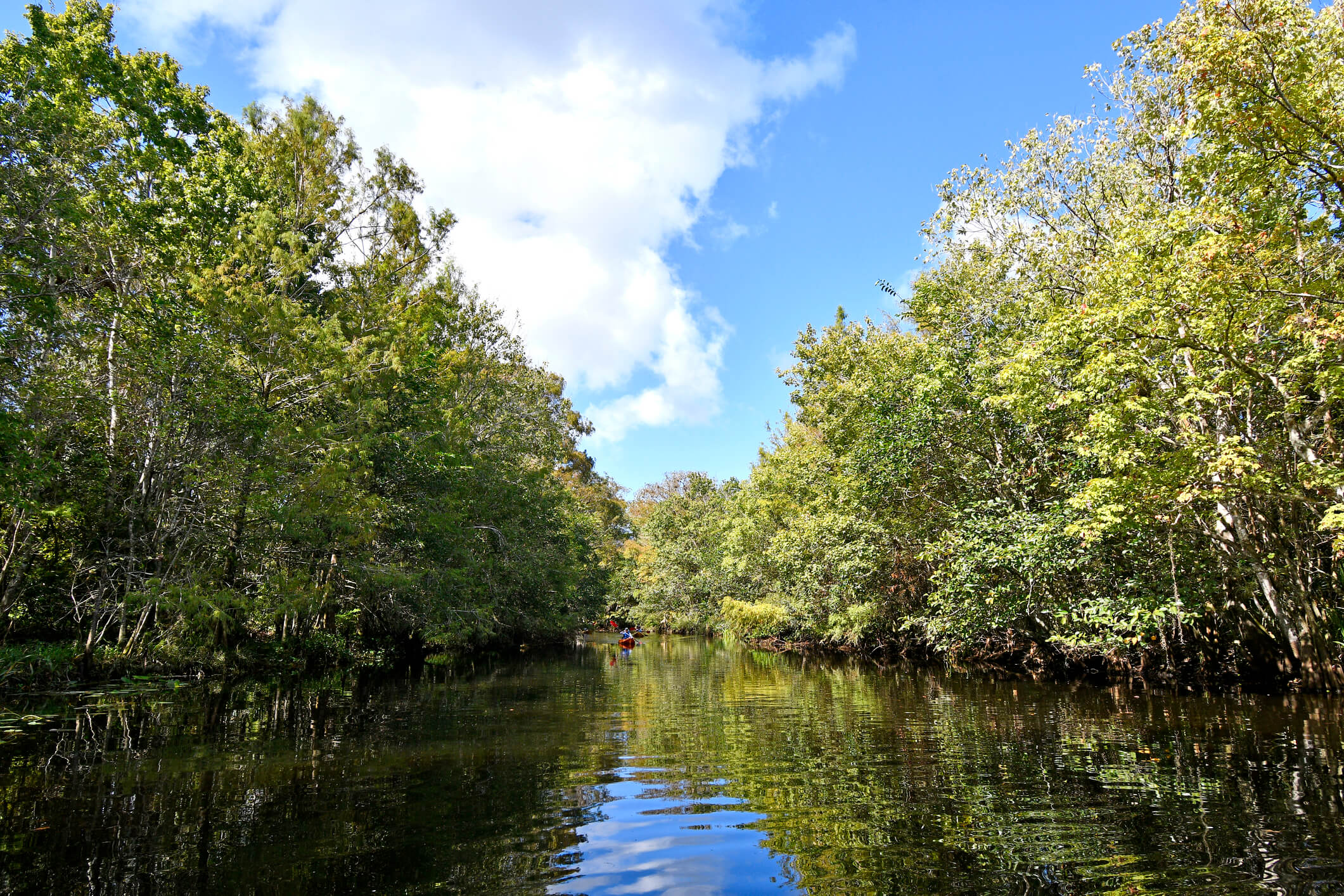 Loxahatchcee Eco River Tour